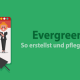 Evergreen-Content